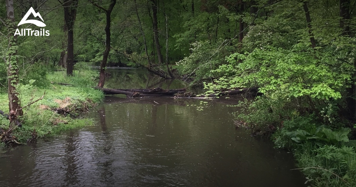 Capturing the essence of the Horsham Powerline Trail: flat terrain, ample shade, and possible wildlife sightings along the path.