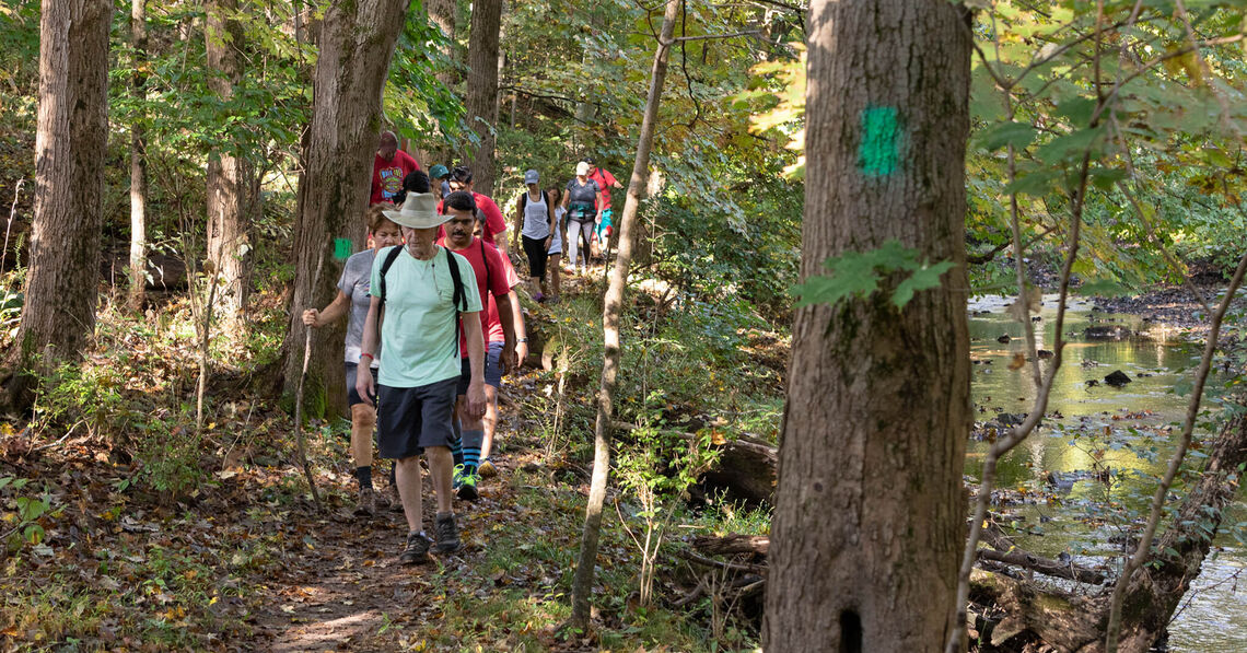 Exploring the Scenic Wissahickon Trails of Ambler, PA