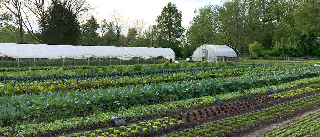 Everwild Farm, a beacon of regenerative agriculture and sustainability.