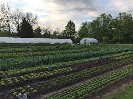 From Orchard to Table: A Close-Up on Ambler, PA’s Farming Heritage