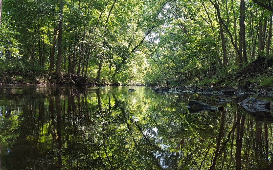 Exploring the Scenic Wissahickon Trails of Ambler