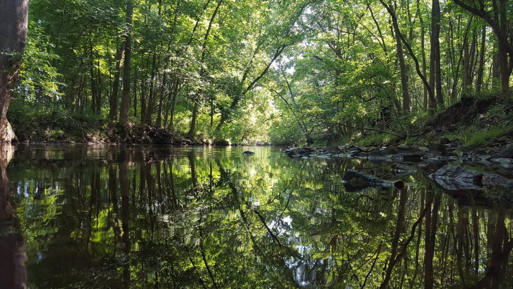 Exploring the Scenic Wissahickon Trails of Ambler, PA