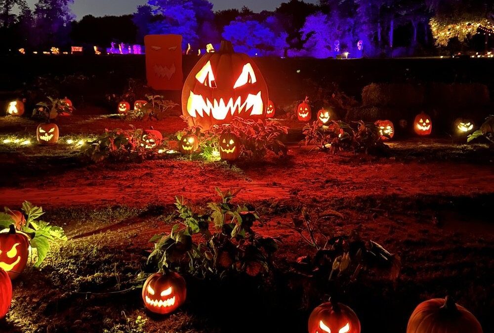 Halloween Happenings in Ambler: A Guide to Local Festivities