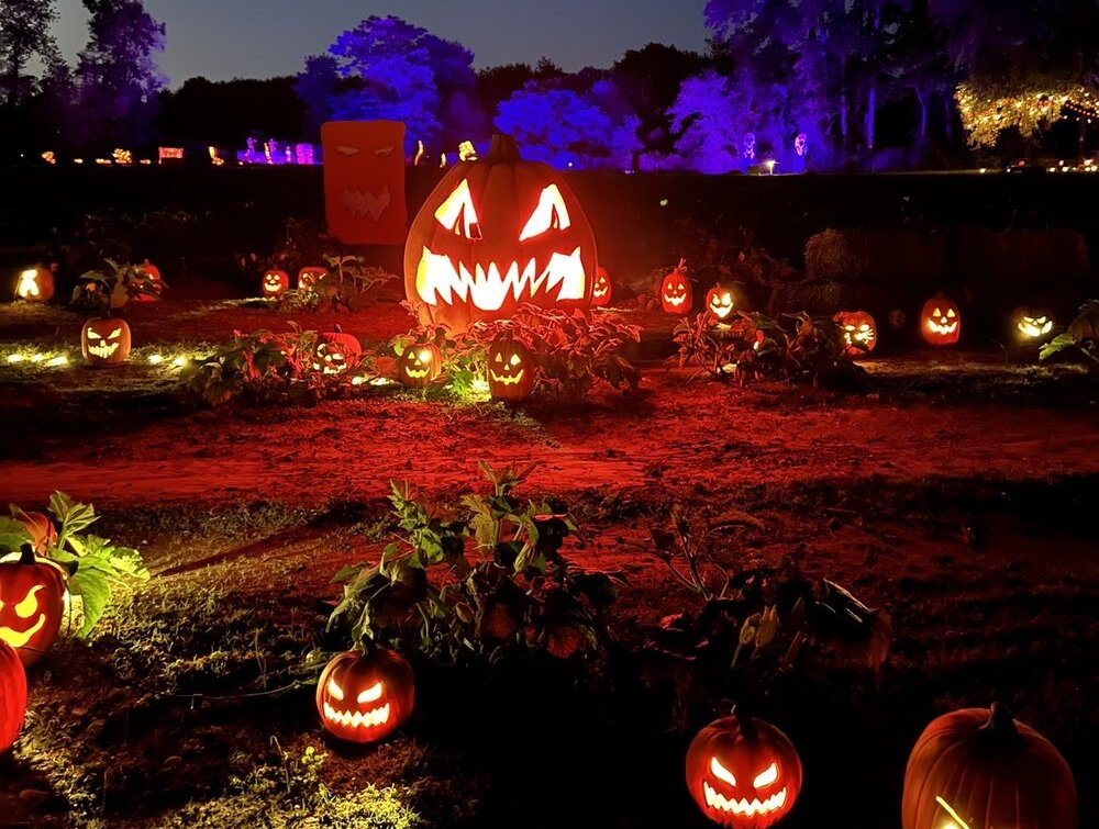 Halloween Happenings in Ambler: A Guide to Local Festivities